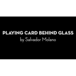 Playing Card Behind Glass by Salvador Molano video DOWNLOAD