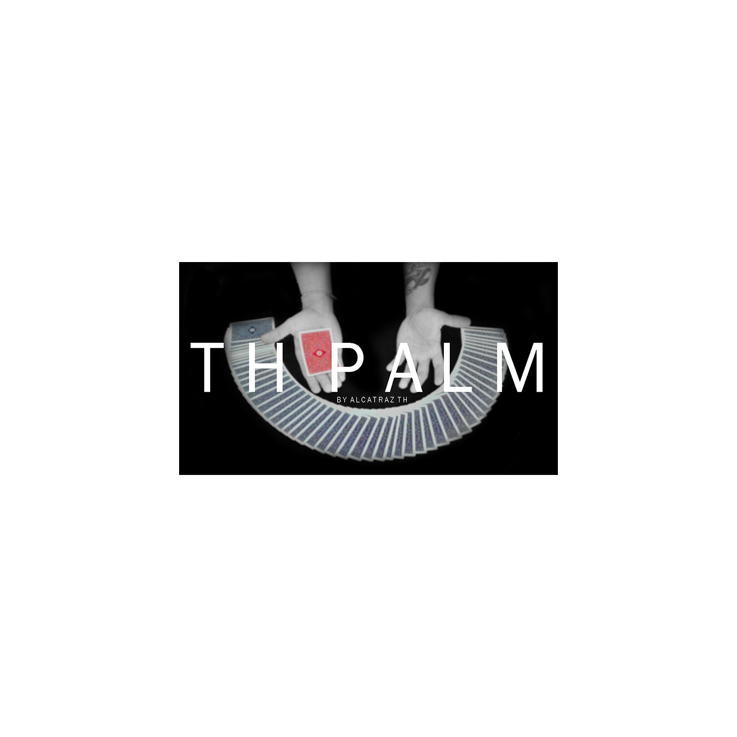 TH Palm by Alcatrazth video DOWNLOAD