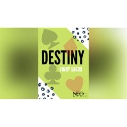 Destiny by Vinny Sagoo eBook DOWNLOAD
