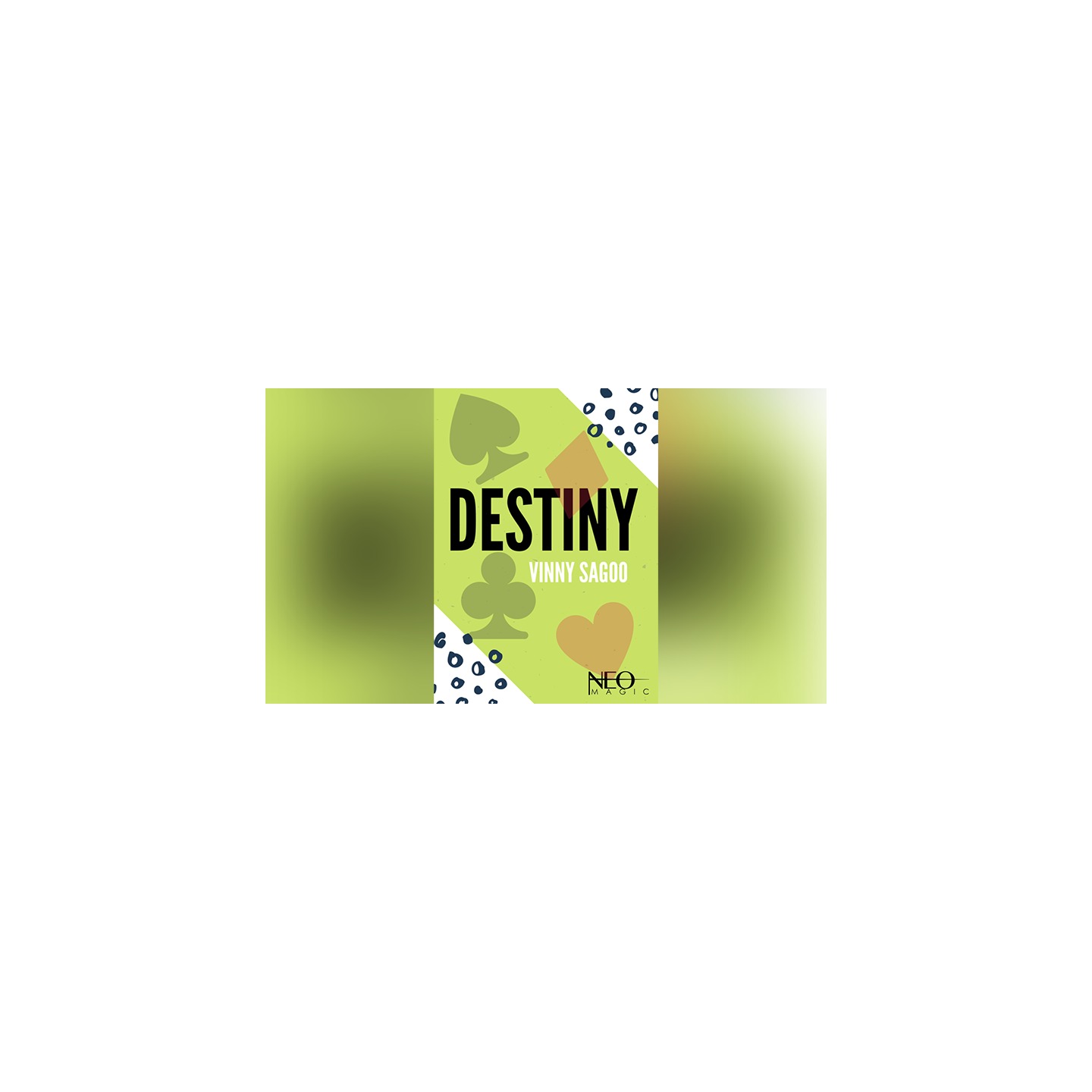Destiny by Vinny Sagoo eBook DOWNLOAD