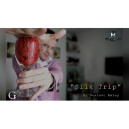 Silk Trip by Gustavo Raley video DOWNLOAD