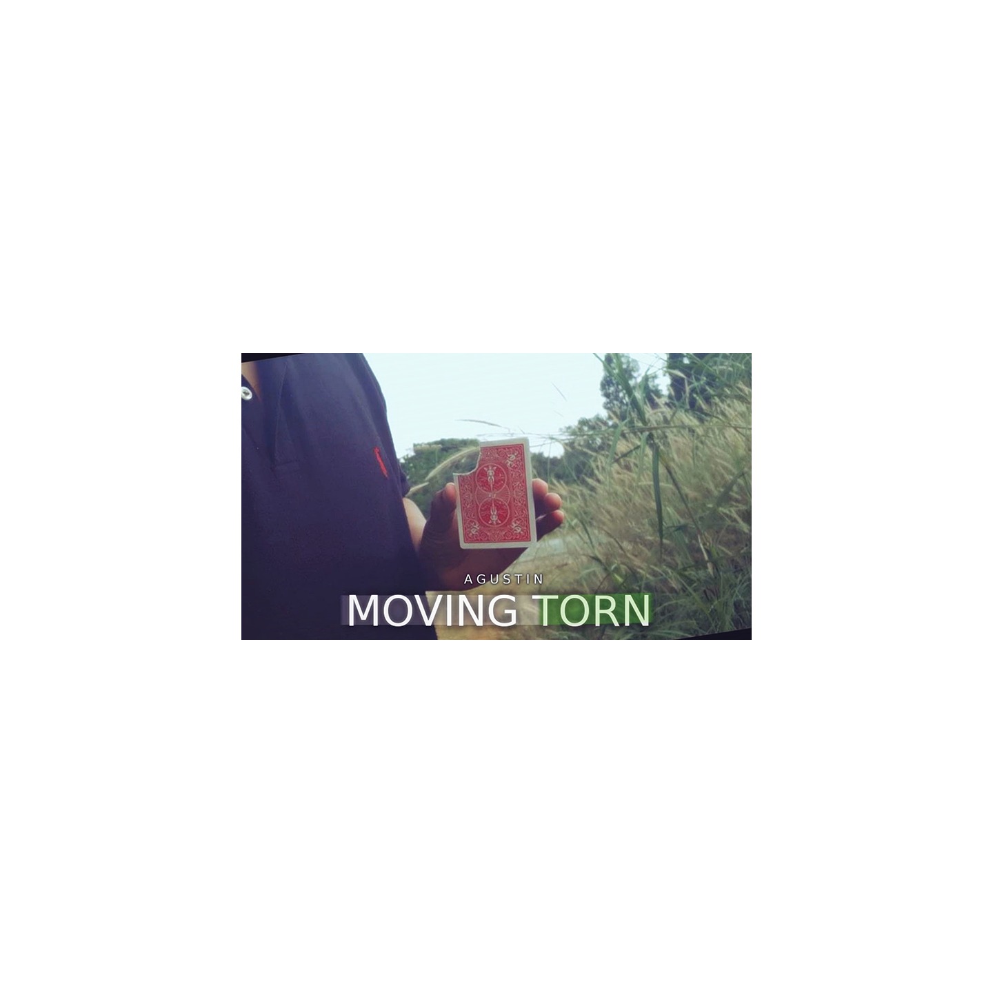 Moving Torn by Agustin video DOWNLOAD