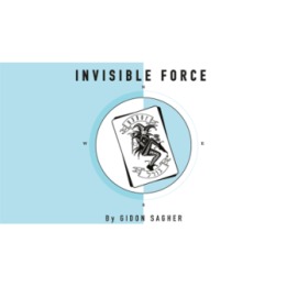 Invisible Force by Gidon Sagher eBook DOWNLOAD