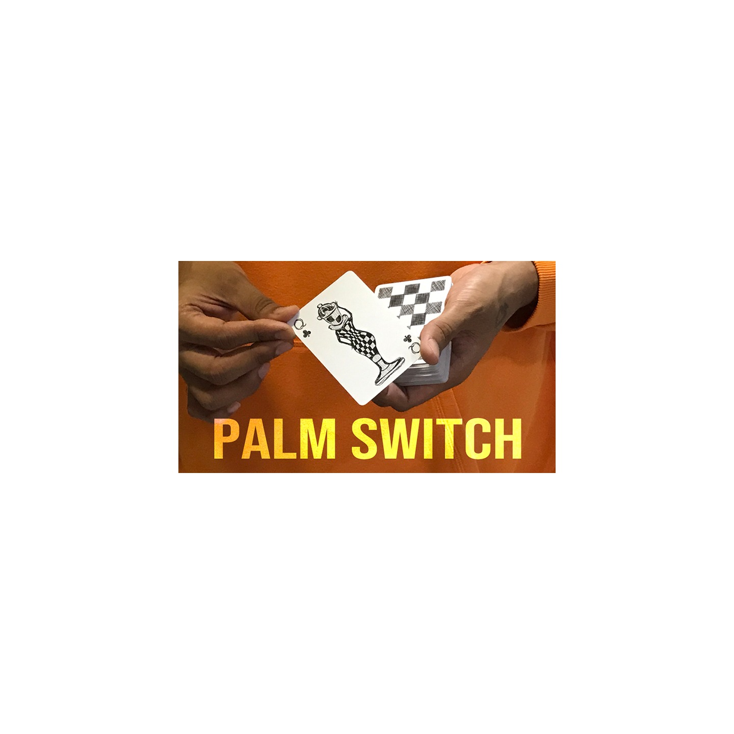 Magic Encarta Presents Palm Switch & Palm Control by Vivek Singhi