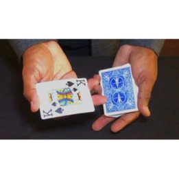 Easy Magic for Beginners by Antwan Towner video DOWNLOAD