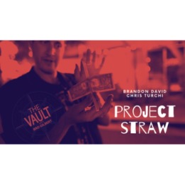 The Vault - Project Straw by Brandon David & Chris Turchi video DOWNLOAD