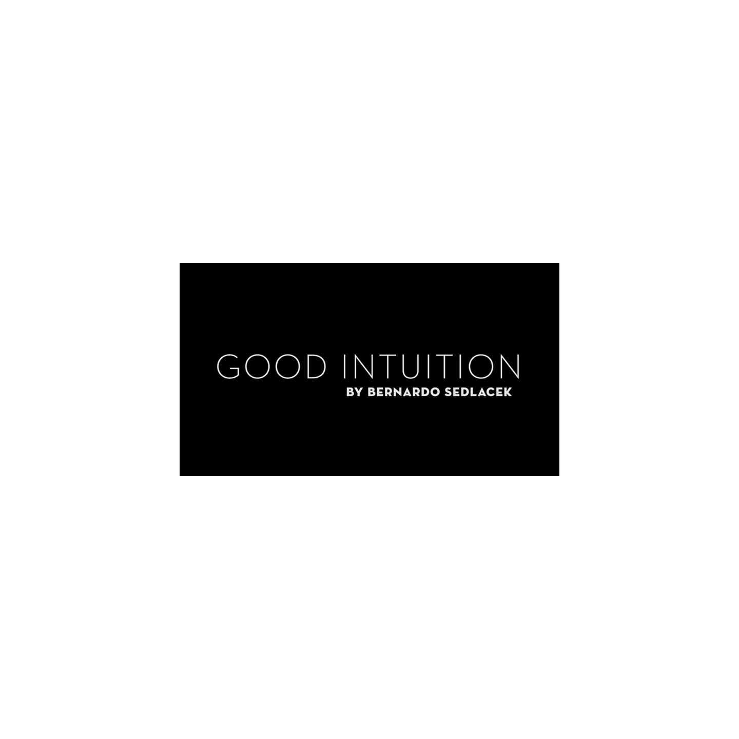 Good Intuition by Bernardo Sedlacek video DOWNLOAD