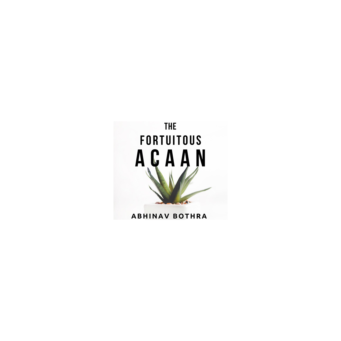 The Fortuitous ACAAN by Abhinav Bothra Mixed Media DOWNLOAD
