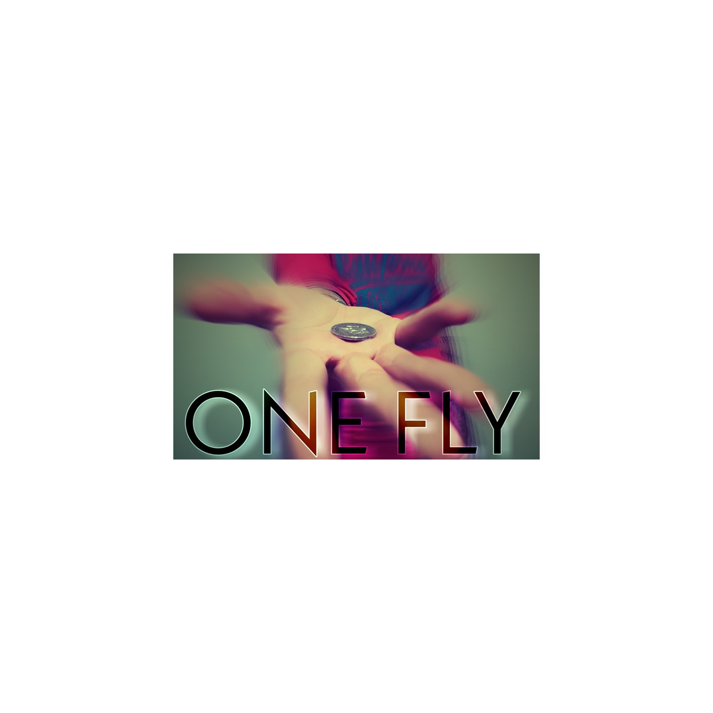 One Fly by Alessandro Criscione video DOWNLOAD