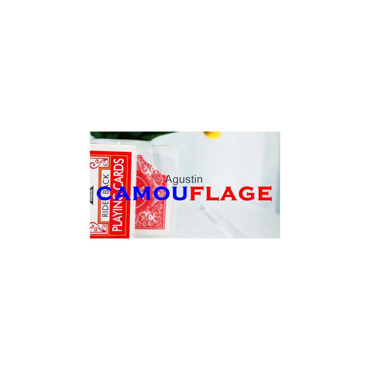 Camouflage by Agustin video DOWNLOAD