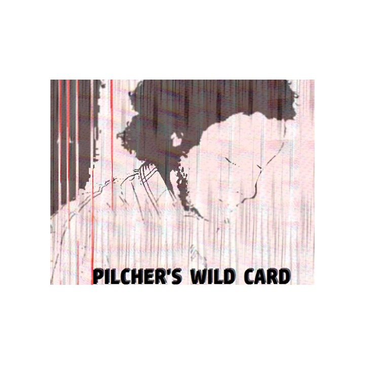 Pilcher's Wild Card by Matt Pilcher video DOWNLOAD
