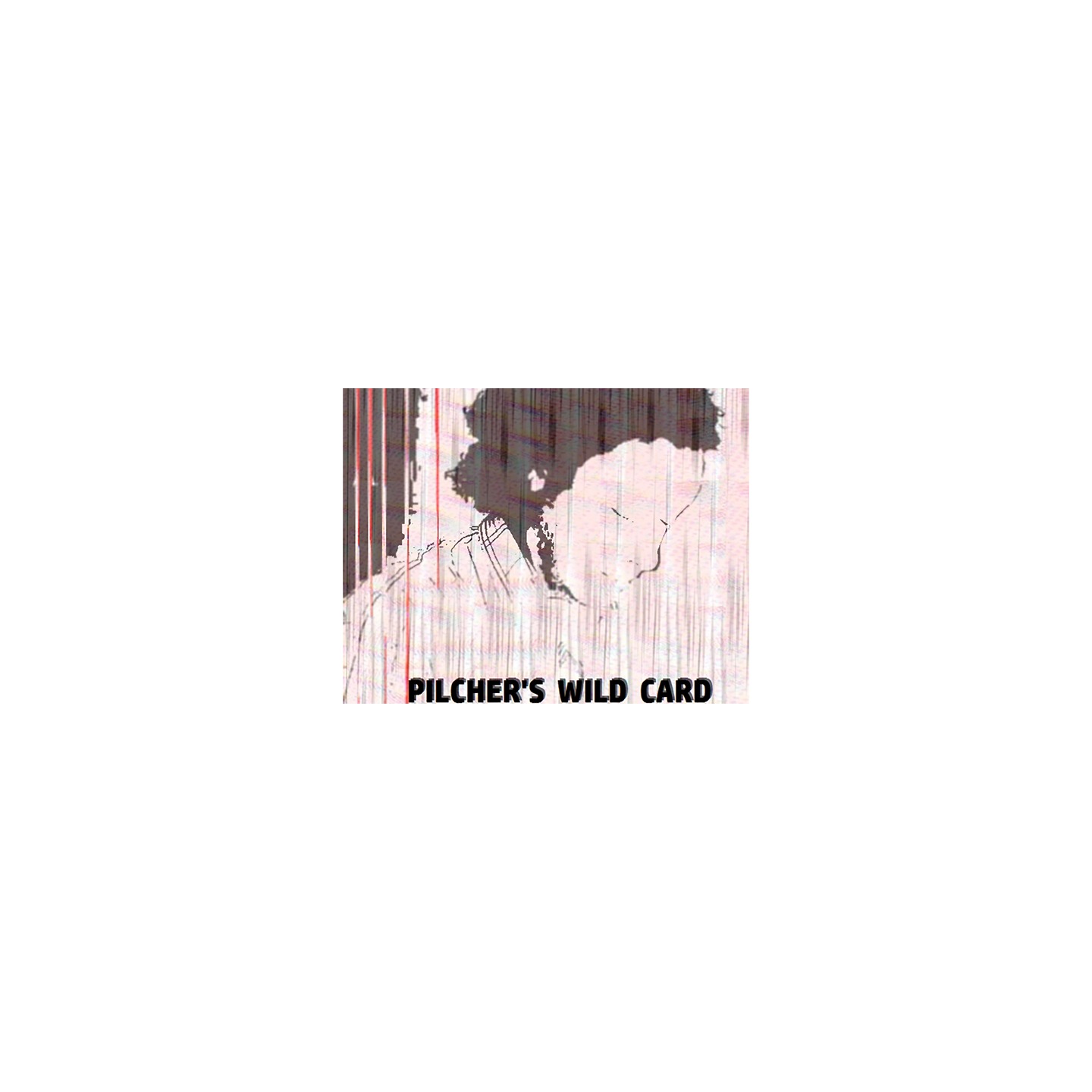 Pilcher's Wild Card by Matt Pilcher video DOWNLOAD