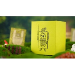 Childhood Playing Cards (Half Brick Standard + Gilded ) by TCC & Lunzi