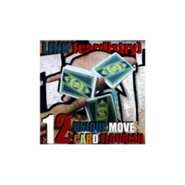 LINK (Cardistry Project) by SaysevenT video DOWNLOAD