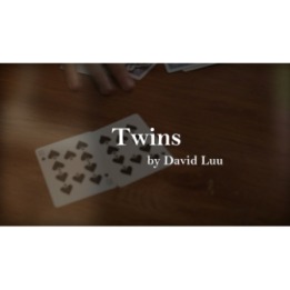 Twins by David Luu video DOWNLOAD