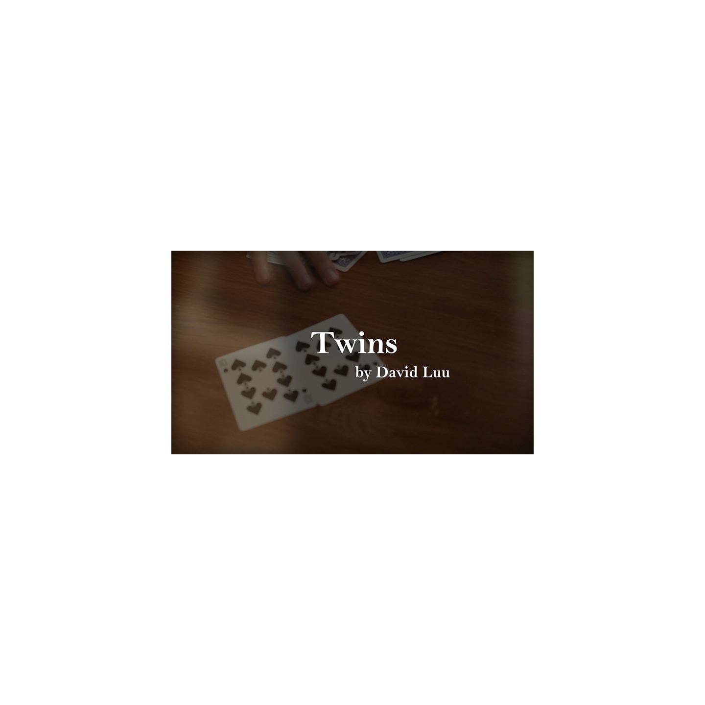 Twins by David Luu video DOWNLOAD