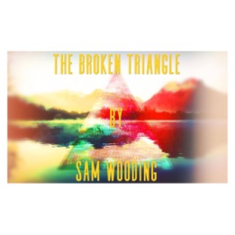 The Broken Triangle by Sam Wooding eBook DOWNLOAD