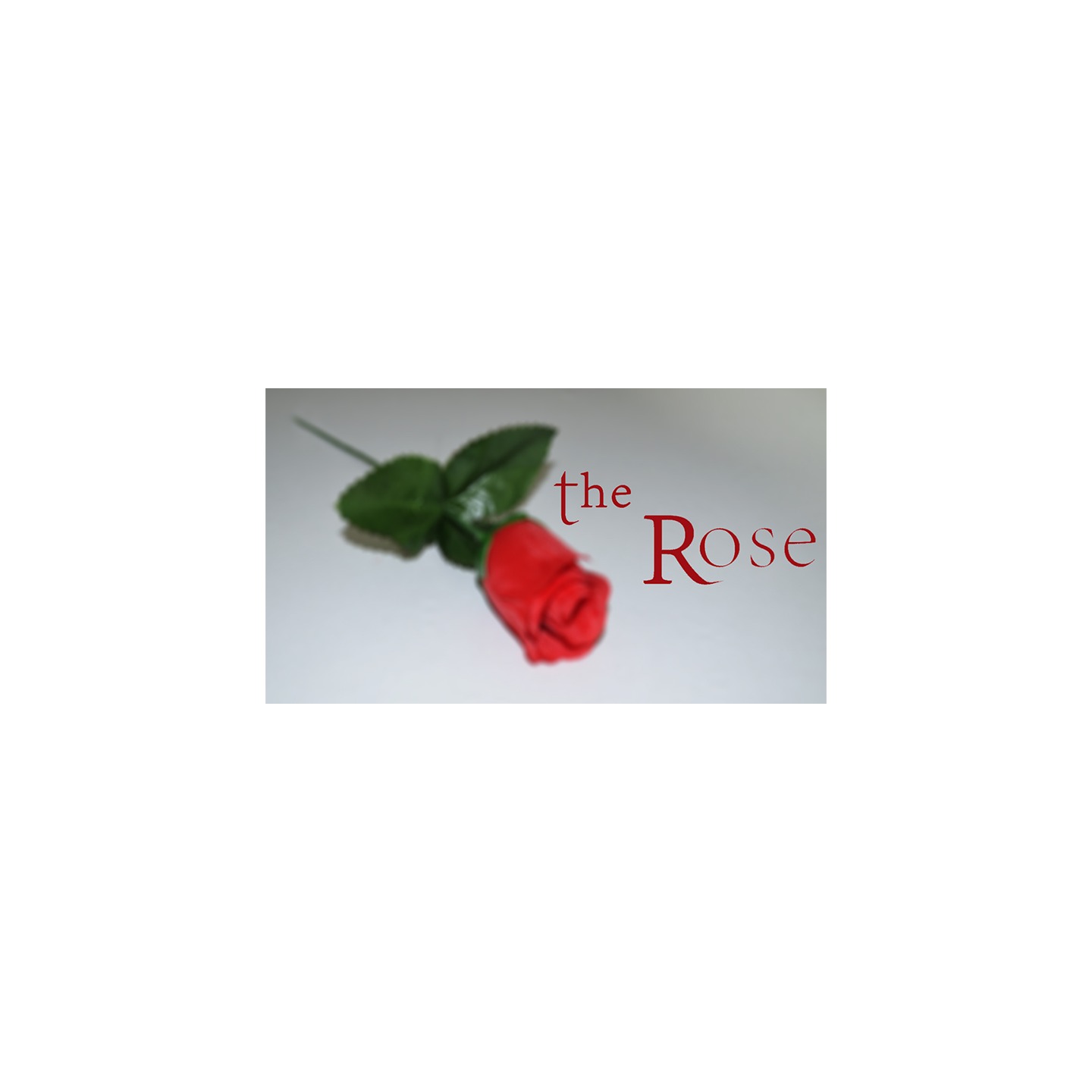 The Rose by Sandro Loporcaro (Amazo) video DOWNLOAD
