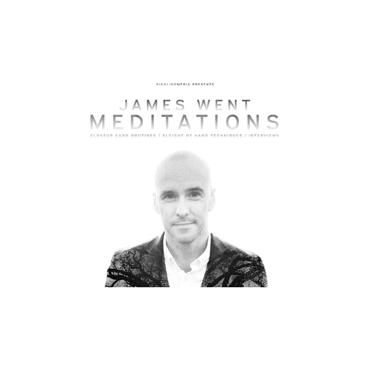 James Went's Meditations video DOWNLOAD