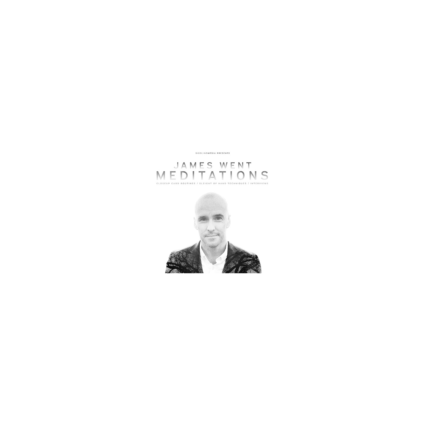 James Went's Meditations video DOWNLOAD