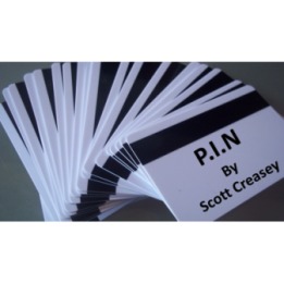 PIN by Scott Creasey video DOWNLOAD
