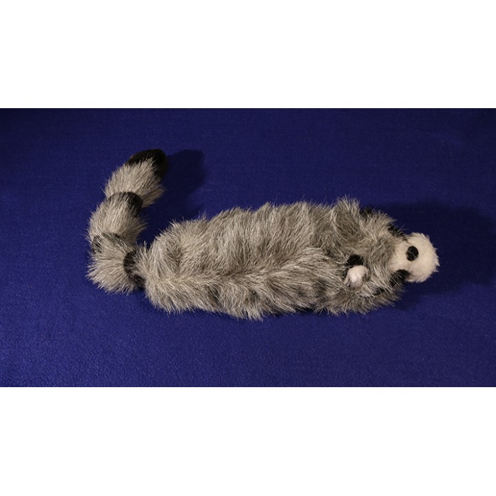 Roxie The Raccoon (Spring Animal)