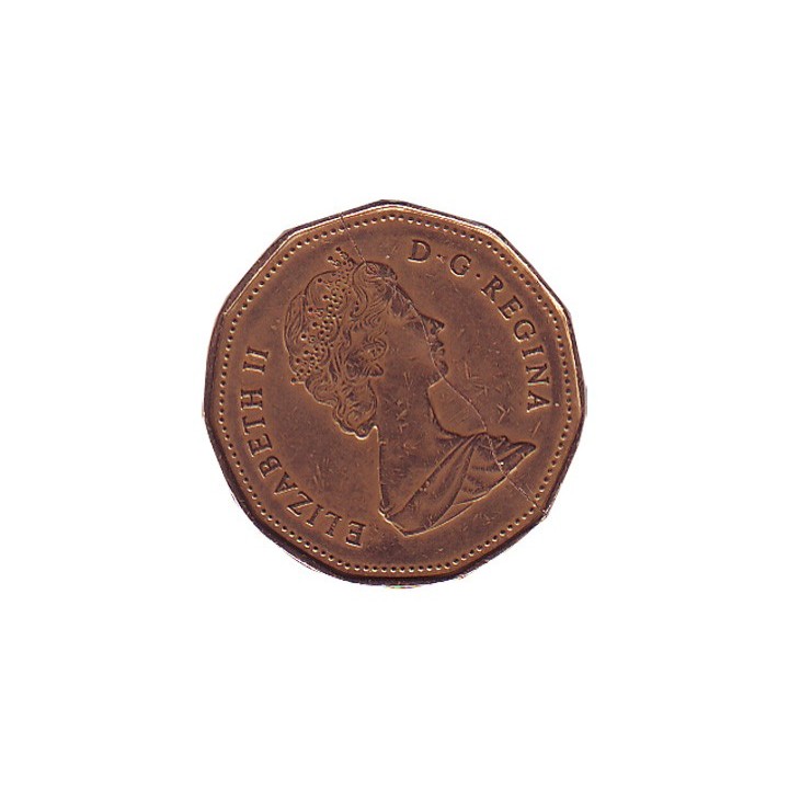 Coin Bite (Canadian Dollar/Loonie)
