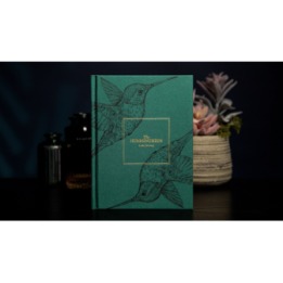 The Hummingbirds by Luke Jermay
