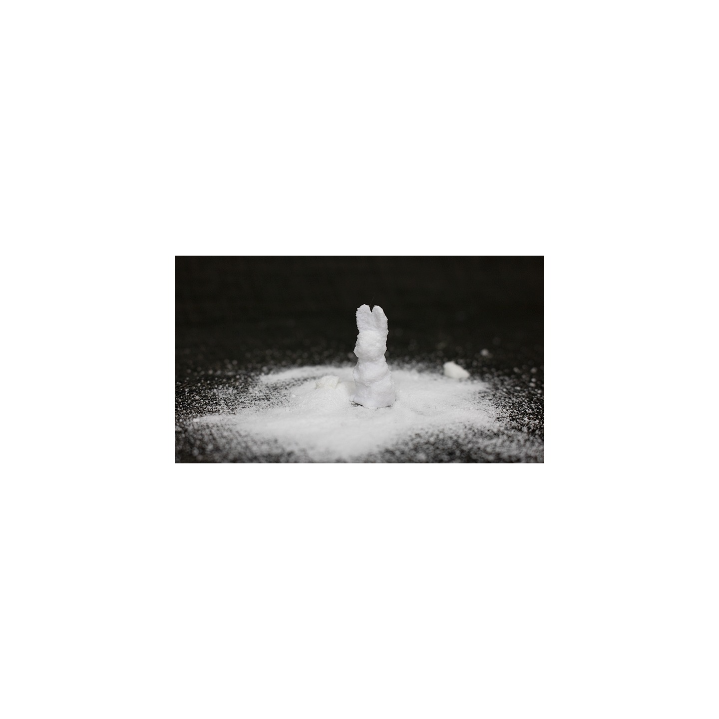 SUGAR BUNNY by Steve Fearson