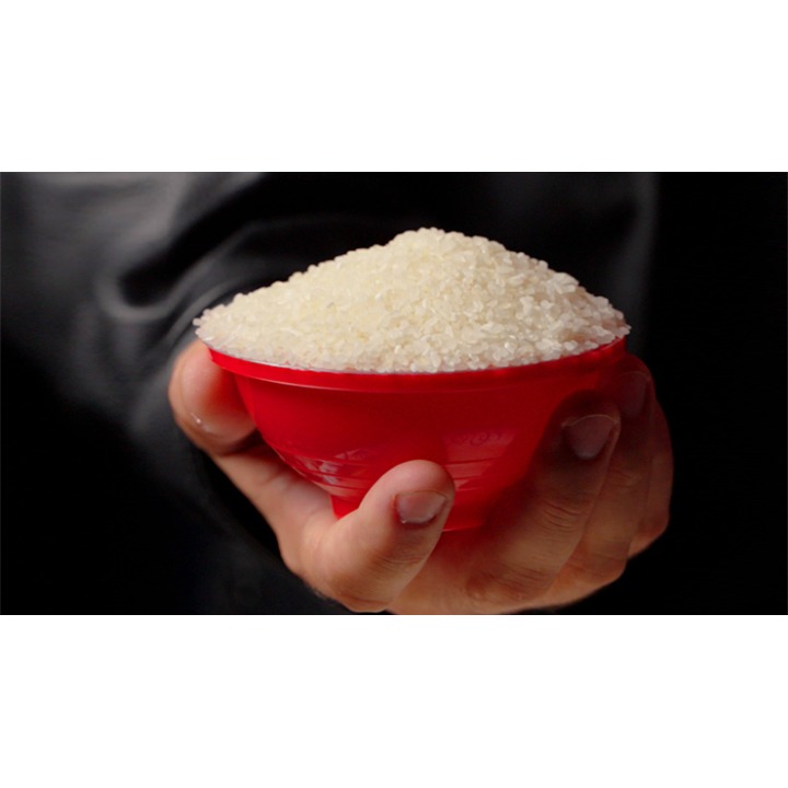 RICE BOWLS (Gimmicks and Instructions) by Apprentice Magic