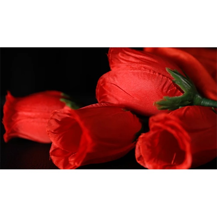 The Rose 2.0 (Red) by Bond Lee & Wenzi Magic