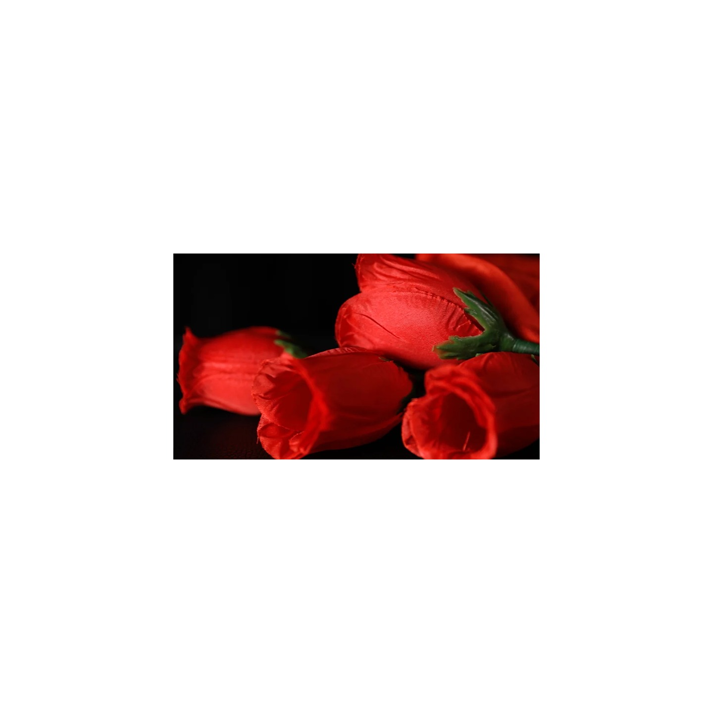The Rose 2.0 (Red) by Bond Lee & Wenzi Magic