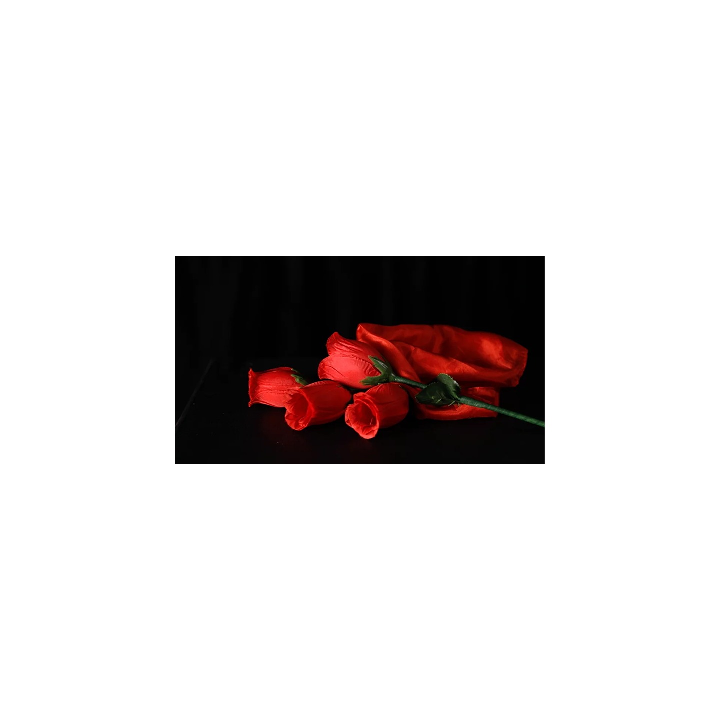 The Rose 2.0 (Red) by Bond Lee & Wenzi Magic