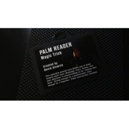 The Palm Reader Card by David Alnwick
