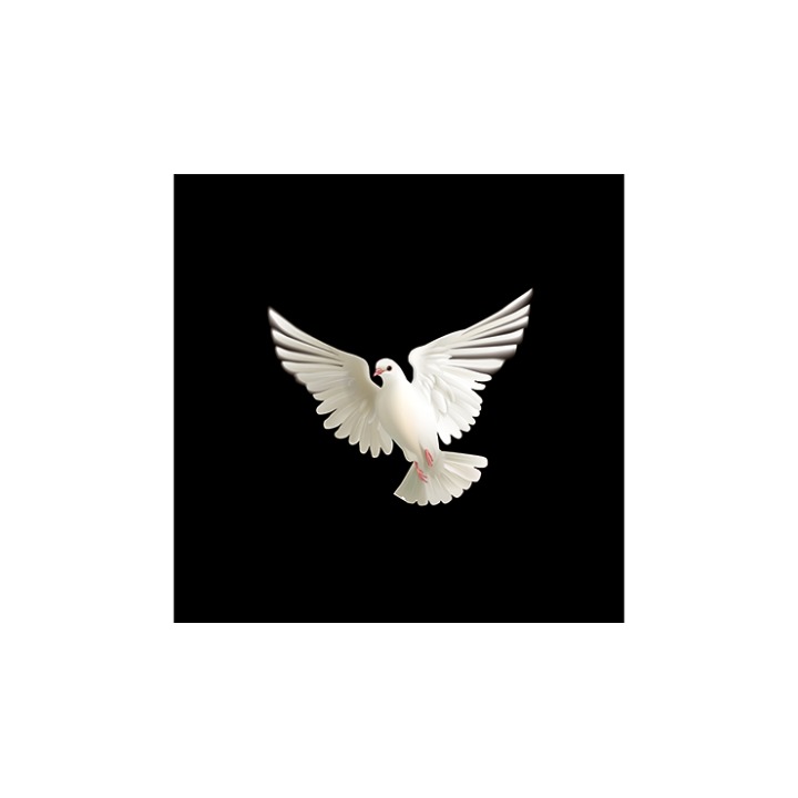 BLUFFF (Appearing Dove) by Juan Pablo Magic