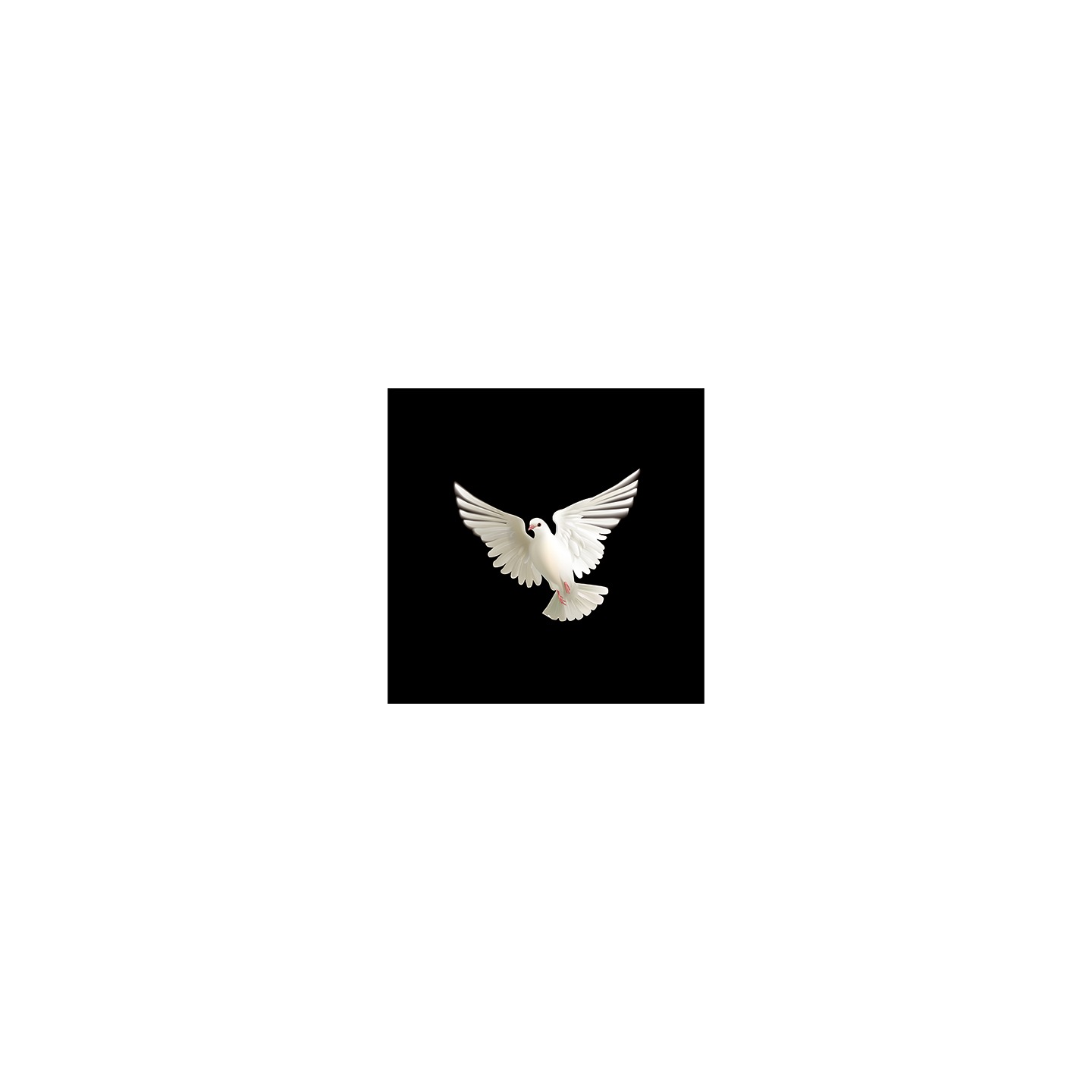 BLUFFF (Appearing Dove) by Juan Pablo Magic