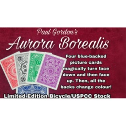 Aurora Borealis by Paul Gordon