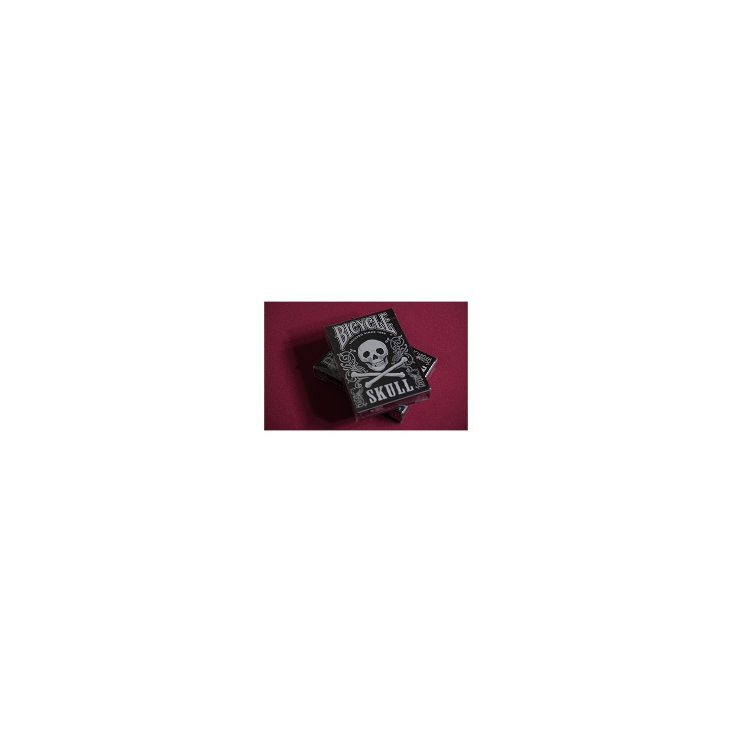 Bicycle Skull Metallic (Silver) USPCC by Gambler's Warehouse