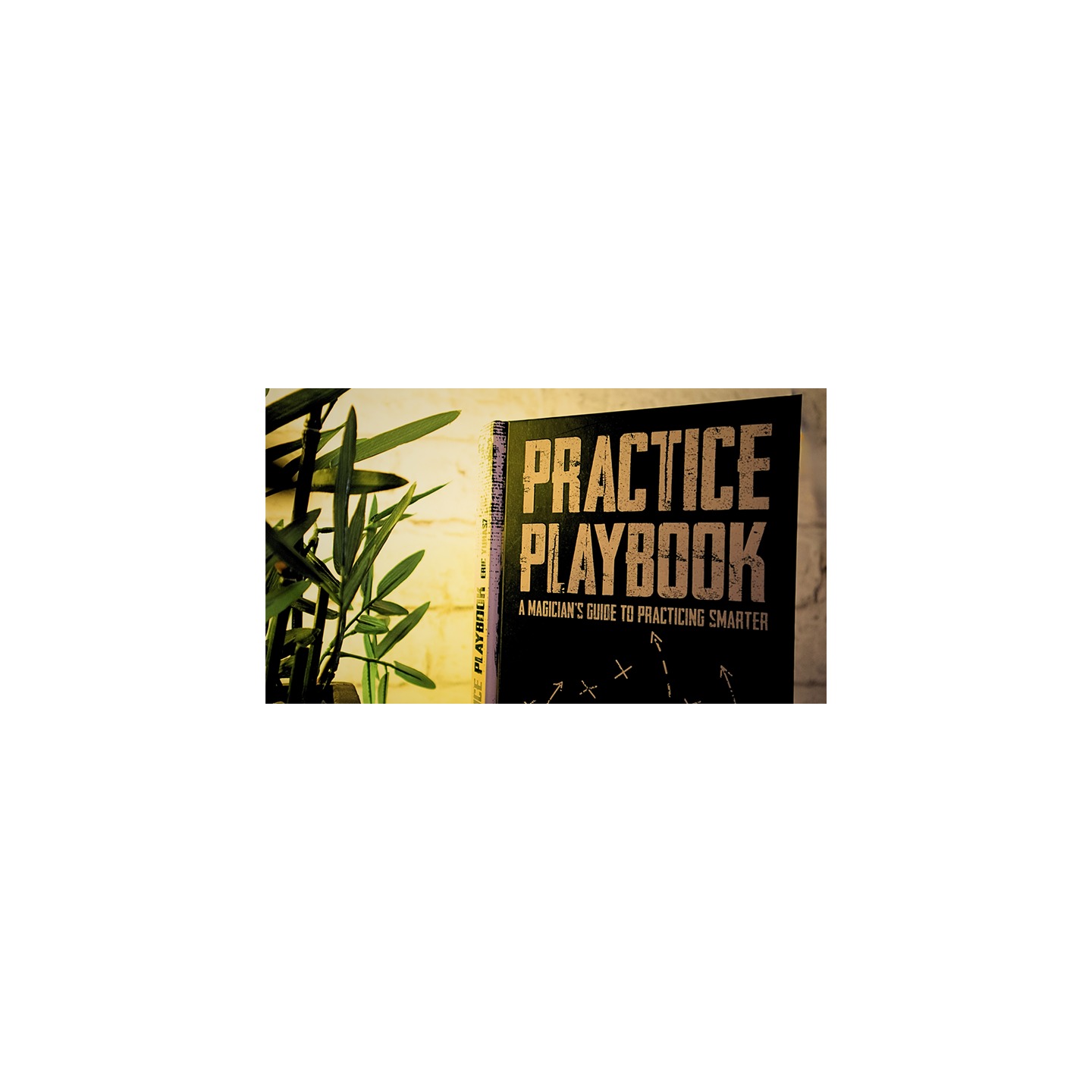 The Practice Playbook by Eric Yuhasz