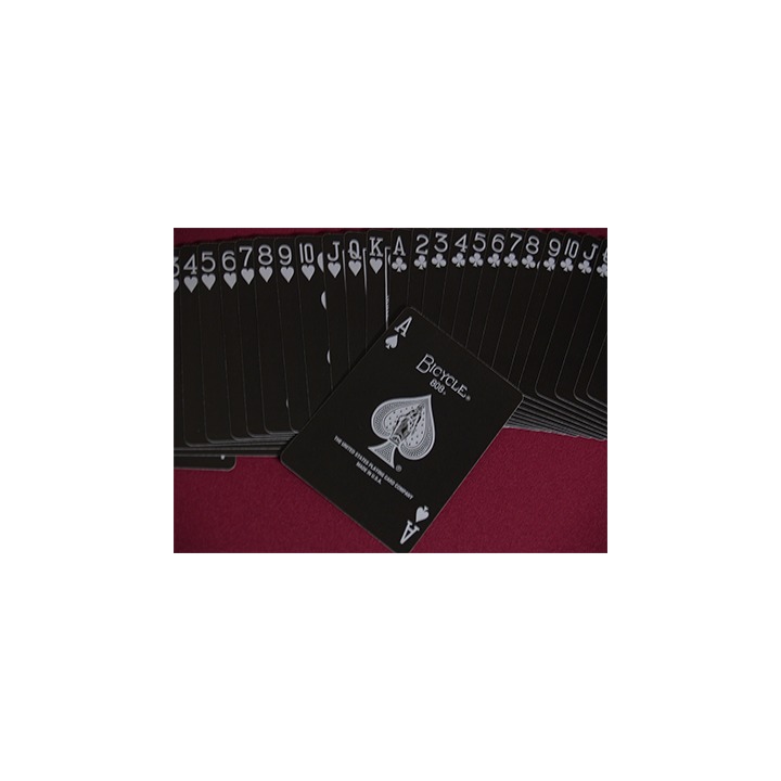 Bicycle Skull Metallic (Silver) USPCC by Gambler's Warehouse