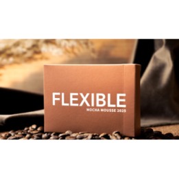 Flexible Mocha Mousse Playing Cards by TCC