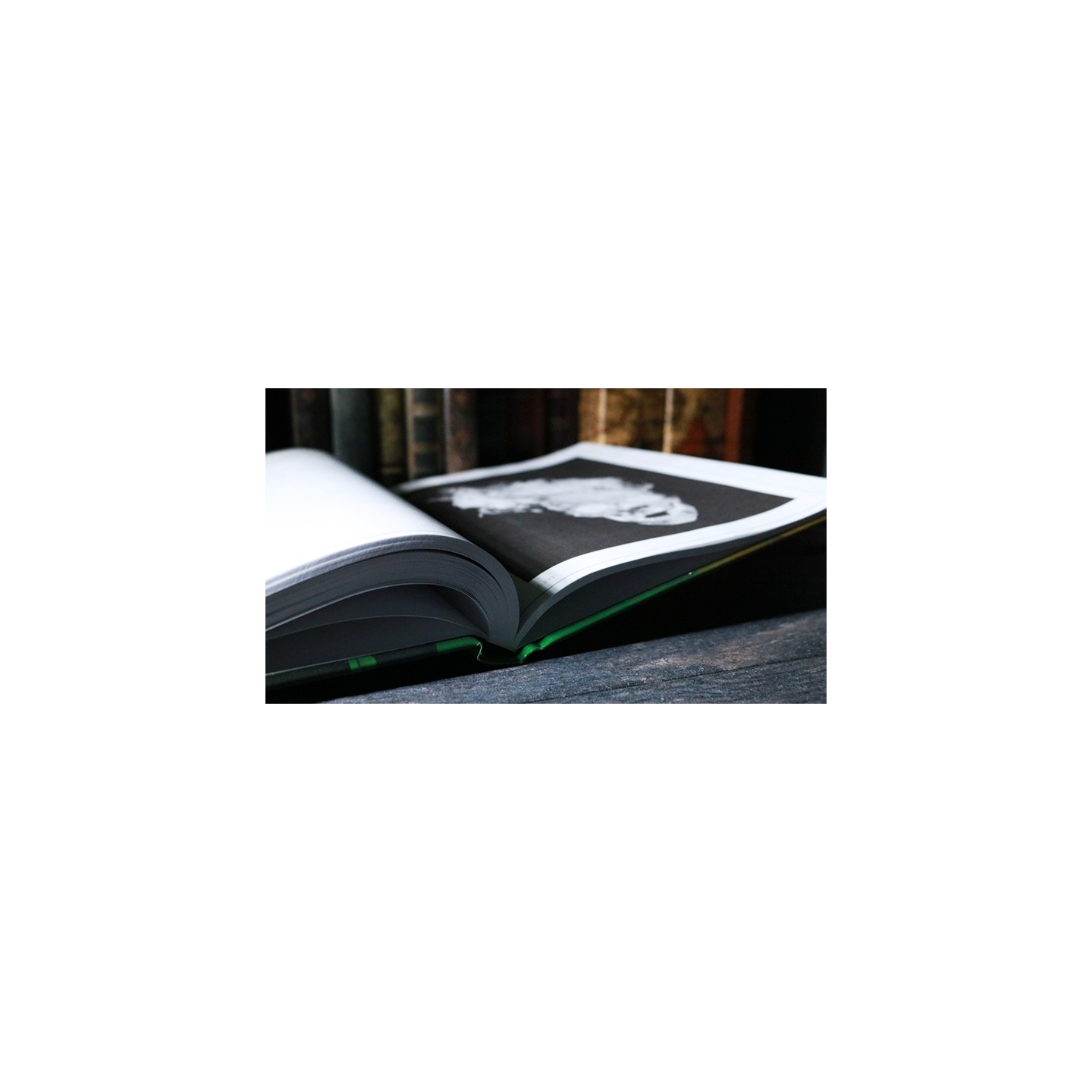 A State of Mind by Dennis Hermanzo - Book