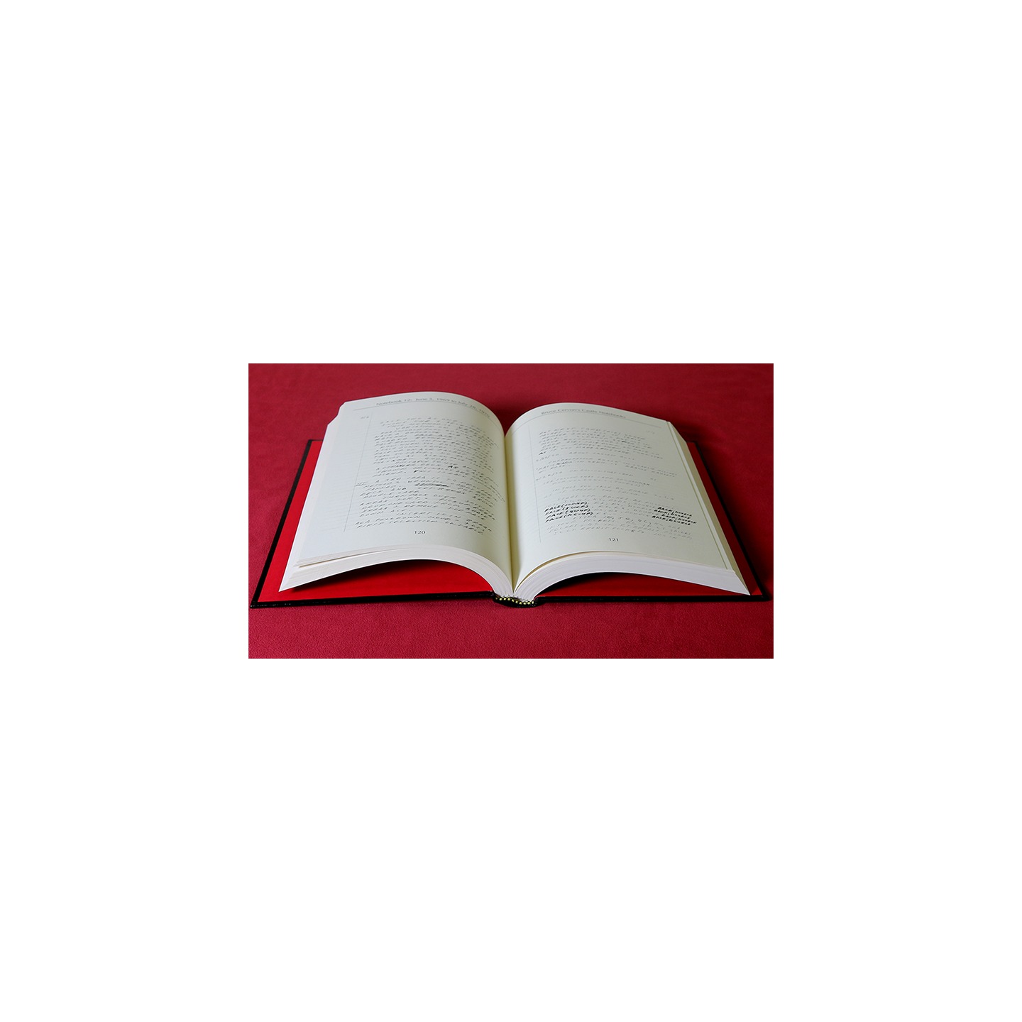 Bruce Cervon Castle Notebook, Vol. 5 - Book