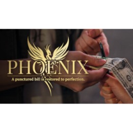 Phoenix by Higar and Hanson Chien (RMB China)