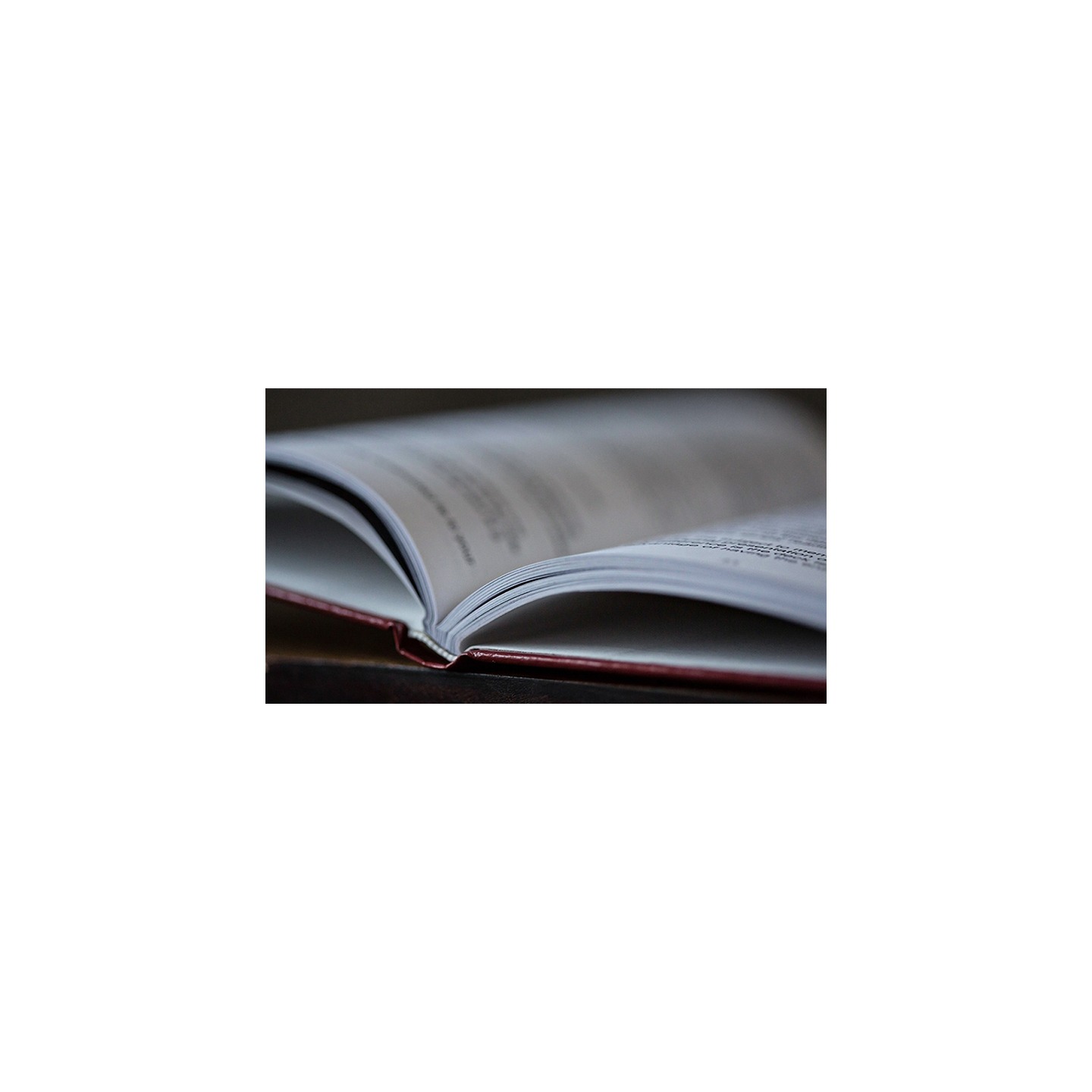 Applesauce by Patrick G. Redford - Book