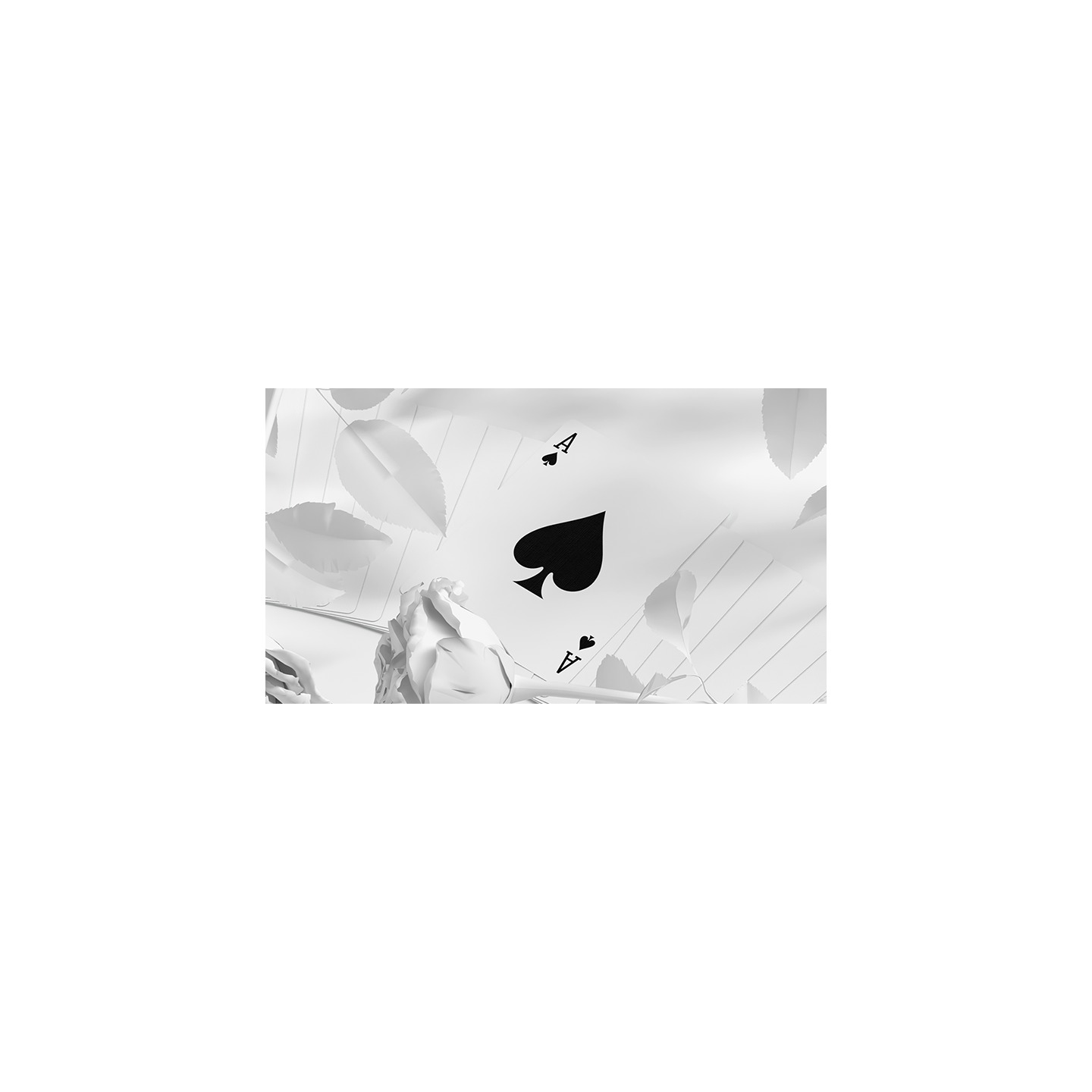 Daniel Schneider White Edition Playing Cards