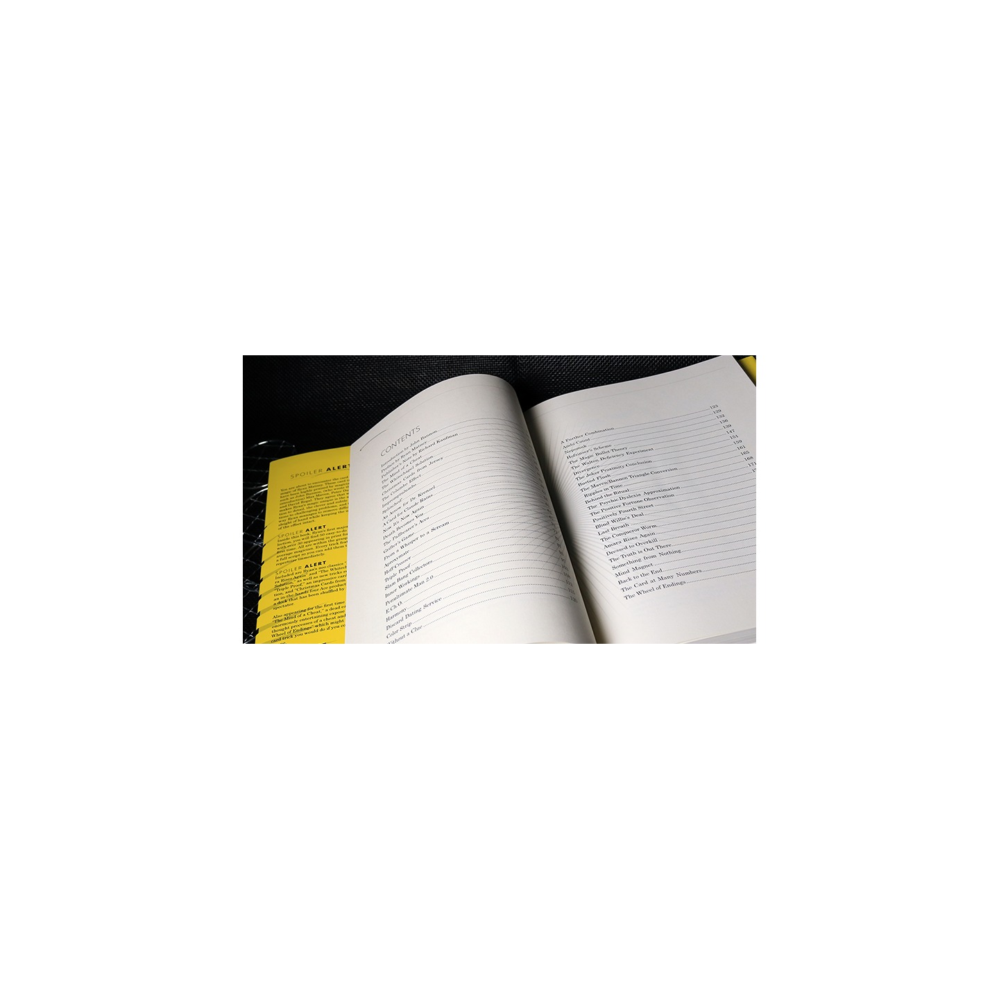 Spoiler Alert (Introduction by John Bannon) by Ryan Matney