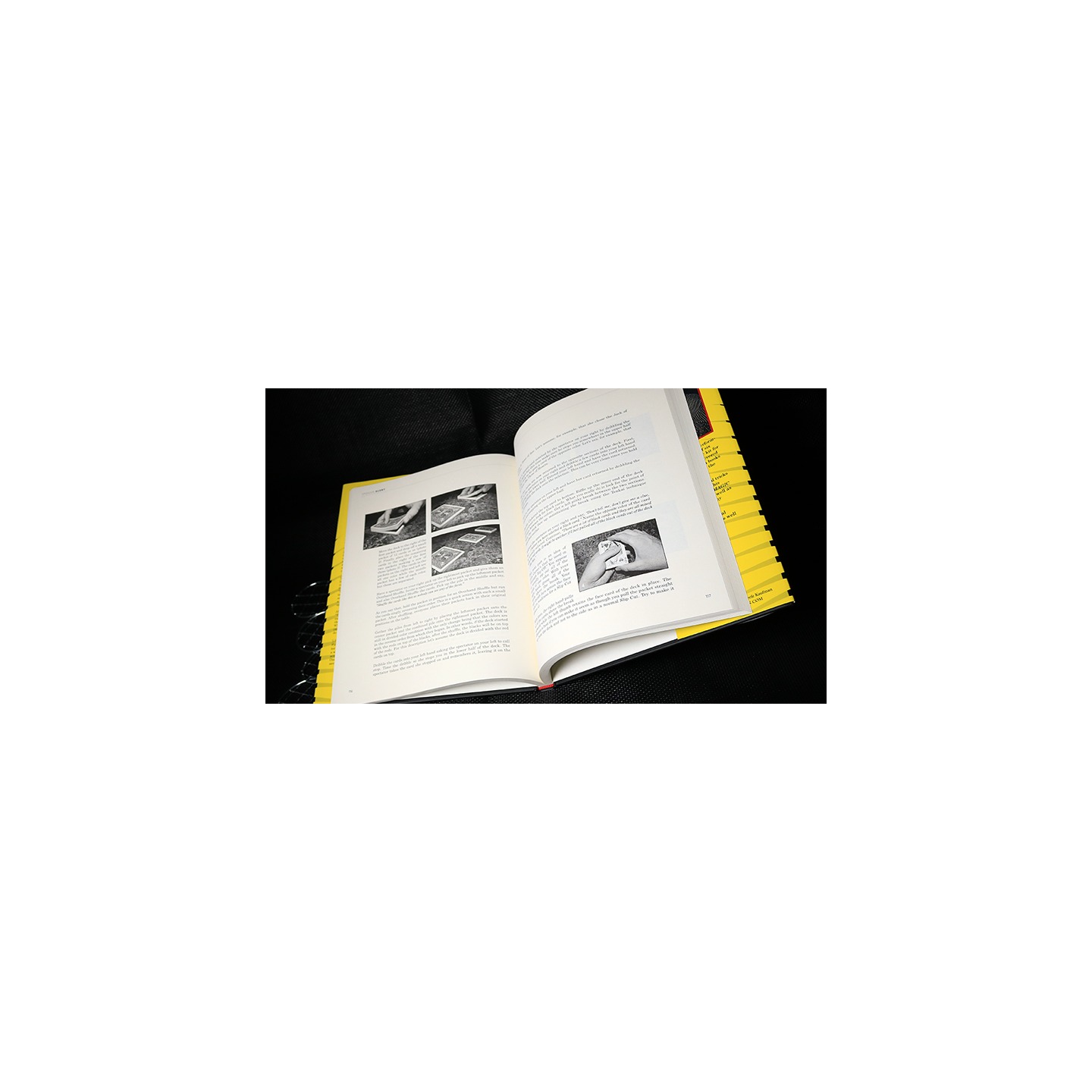 Spoiler Alert (Introduction by John Bannon) by Ryan Matney