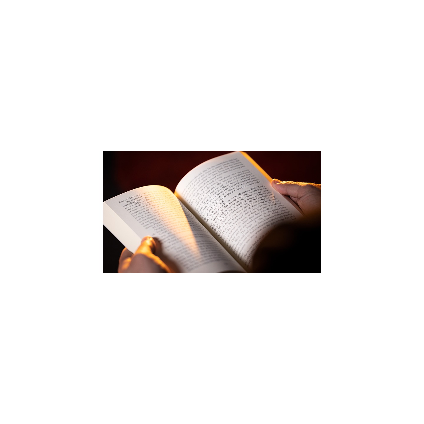 The End Book Test by Angelo Carbone (Gimmick and Online Instructions)
