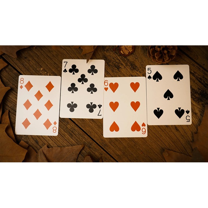 Forest elf Badger Playing Cards